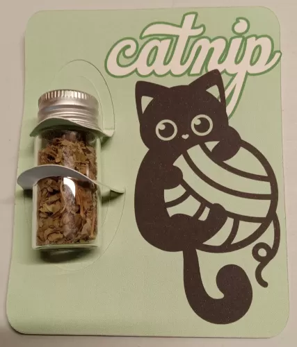 Catnip 