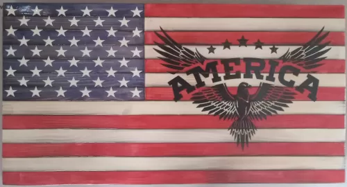 America Eagle 21"x11"